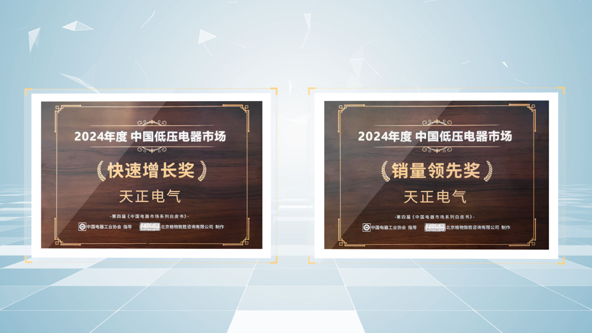 销量领先、快速增长丨ng28注册平台入口荣膺2项行业年度大奖